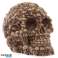 Skulls Design Skull Figurine foto 4