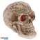 Мини-кельтские черепа с глазами из драгоценных камней за штуку изображение 2