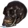 Small iridescent skull per piece image 4