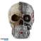 Steam Punk Skull Half Robot Head image 1