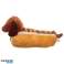 Papuci de hot dog fast-food fotografia 1