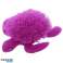 Mototoliți jucăria LED broască țestoasă colorată pe bucată fotografia 2