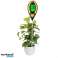 Testeur de sol numérique multifonctionnel 4 en 1, posemètre, valeur du PH du sol, appareil d’inspection des plantes compact et portable, longueur de bâton de 20 cm - Soiltesty photo 6