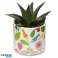 Pick of the Bunch Autumn Flowers Indoor Plant Pot Small image 1