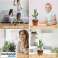 DANSE ET CHANT INTERACTIFS CACTUS EN PELUCHE - CACTUS photo 1