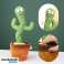 DANSE ET CHANT INTERACTIFS CACTUS EN PELUCHE - CACTUS photo 2