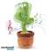 DANSE ET CHANT INTERACTIFS CACTUS EN PELUCHE - CACTUS photo 3