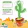 DANSE ET CHANT INTERACTIFS CACTUS EN PELUCHE - CACTUS photo 5