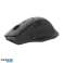 Delux M913DB 2.4G Souris Sans Fil Noir photo 2
