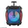 draagbare oplaadbare bluetooth speaker trolley case met RGB-verlichting en microfoon inbegrepen - USB TF Bluetooth-radioverbinding foto 1