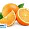 CITRUSPRESSER CLEMENTINE 25W 0 7L FARVER billede 1