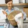 PERSIL DETERSIVO IN POLVERE 3KG 50 LAVAGGI Prodotti chimici universali dalla Germania foto 2
