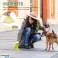"Dog Poop" krepšiai, 42 ritinėliai 630 maišų "Poo" krepšiai su 2 "Dispense Green" nuotrauka 1