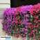 PLANTE SUSPENDUE ARTIFICIELLE - HANGYPLANT photo 1