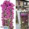 PLANTE SUSPENDUE ARTIFICIELLE - HANGYPLANT photo 2