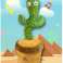 Cactus Dancer Dancing Cactus: śpiewaj, tańcz, powtarzaj wszystko, co mówisz - ! INTERAKTYWNY TANIEC I ŚPIEW PLUSZOWEGO KAKTUSA - KAKTUS zdjęcie 5