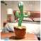 Cactus Dancer Dancing Cactus: Singen, tanzen, alles wiederholen, was du sagst - ! INTERAKTIVER TANZENDER UND SINGENDER PLÜSCHKAKTUS - CACTUS Bild 3
