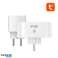 Gosund SP211 2pcs 3500W Dual Smart WiFi Socket image 2