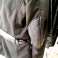 Burzovne jakne čovjek Proizvedeno u Italiji slika 4