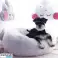 Verwöhnen Sie Ihre pelzigen Freunde mit dem Puffy Pet Bed !! GROSSER VERKAUF !! Bild 3