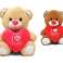 Ours avec peluche coeur 2 assortis 20 cm photo 1