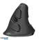 Delux M618G DB BT Wireless Vertical Mouse image 3
