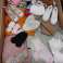 Wholesale Deals: England&amp;#039;s Primark clothing sold by the kilogram! image 5