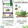 Herbion Naturals Pastilles contre la toux Ivy Leaf au thym et Réglisse, arôme naturel de miel et de citron, paquet de 40 photo 3