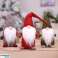 BQ67 SANTA CLAUS GNOME DWARF 44x13 image 14