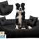 Dog bed playpen PRESTIGE 55x45 cm Waterproof Black image 6