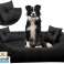 Hundebett Laufgitter PRESTIGE 75x65 cm Wasserdicht Schwarz Bild 6