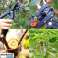 TREES FOR VACCINATION OF GRAPES secateurs SKU:058-F (stock in Poland) image 5