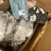 4 € la paire dans un ensemble de chaussures avec une variété de modèles et de tailles, des chaussures, des chaussures pour femmes, des chaussures herenn, des marchandises A, une palette de stock restante photo 1