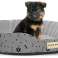 Cama de cão personalizada feita de linho esponjoso + codura 80x70 cm antiderrapante ossos pretos foto 5
