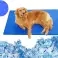Gel COOLING mat for animals 52x104 cm image 1
