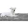 SHAGGY Plush kilimėlis 80x160 cm Antislip Tamsiai Pilka Soft nuotrauka 2