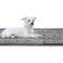 Matto RABBIT 80x120 cm Liukumaton Siperian Soft kuva 2