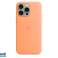 Apple iPhone 15 Pro Max Silicone Case with MagSafe Orange Sorbet MT1W3ZM/A image 1