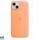 Apple iPhone 15 Plus Silicone Case with MagSafe Orange Sorbet MT173ZM/A image 1