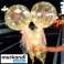 LED-ilmapallo ruusulla LOVEBALLOON kuva 2