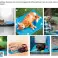 Maat M Verfrissende koelmat voor honden en katten Veilige gel voor dieren foto 5