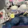 "Triumph Ladies Lingerie" apatinio trikotažo apatinio trikotažo mišinys 200 vnt. nuotrauka 1