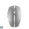 Cherry Maus GENTIX BT frosted silver JW 7500 20 image 1