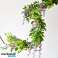 Flowervines - Artificial Hanging String Plant- Fake hanging vines, Faux trailing plants, Synthetic vine decor image 2