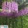 Hangyplant - Штучна підвісна рослина - Фальшива підвісна рослина, Штучна підвісна рослина, Штучна підвісна рослина зображення 6