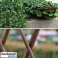 Feuillu - Jardin feuille clôture - Verdure, feuillage, haie photo 3
