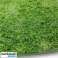 Tapis multi-usages pour chien en herbe, Toilette naturelle pour animaux, Tapis confortable et durable, imperméable, 70x45cm - Doggo photo 5