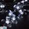 String lights cu motiv floral (3 m) DAISYGLOW fotografia 2