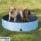 Pet swimming pool- Dog pool, pet splash pool, portable pet pool image 5