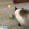 Cat balansert leketøy-Cat interaktive leketøy, katt puslespill leketøy, kitty berikelse leketøy bilde 6